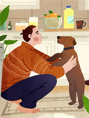 夜间飞行的飞机